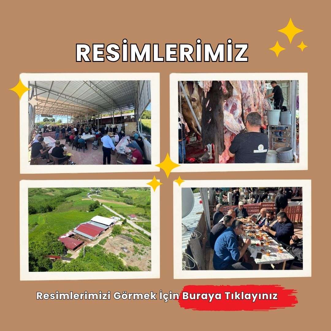 Fotoğraflarımız - Buzafarm