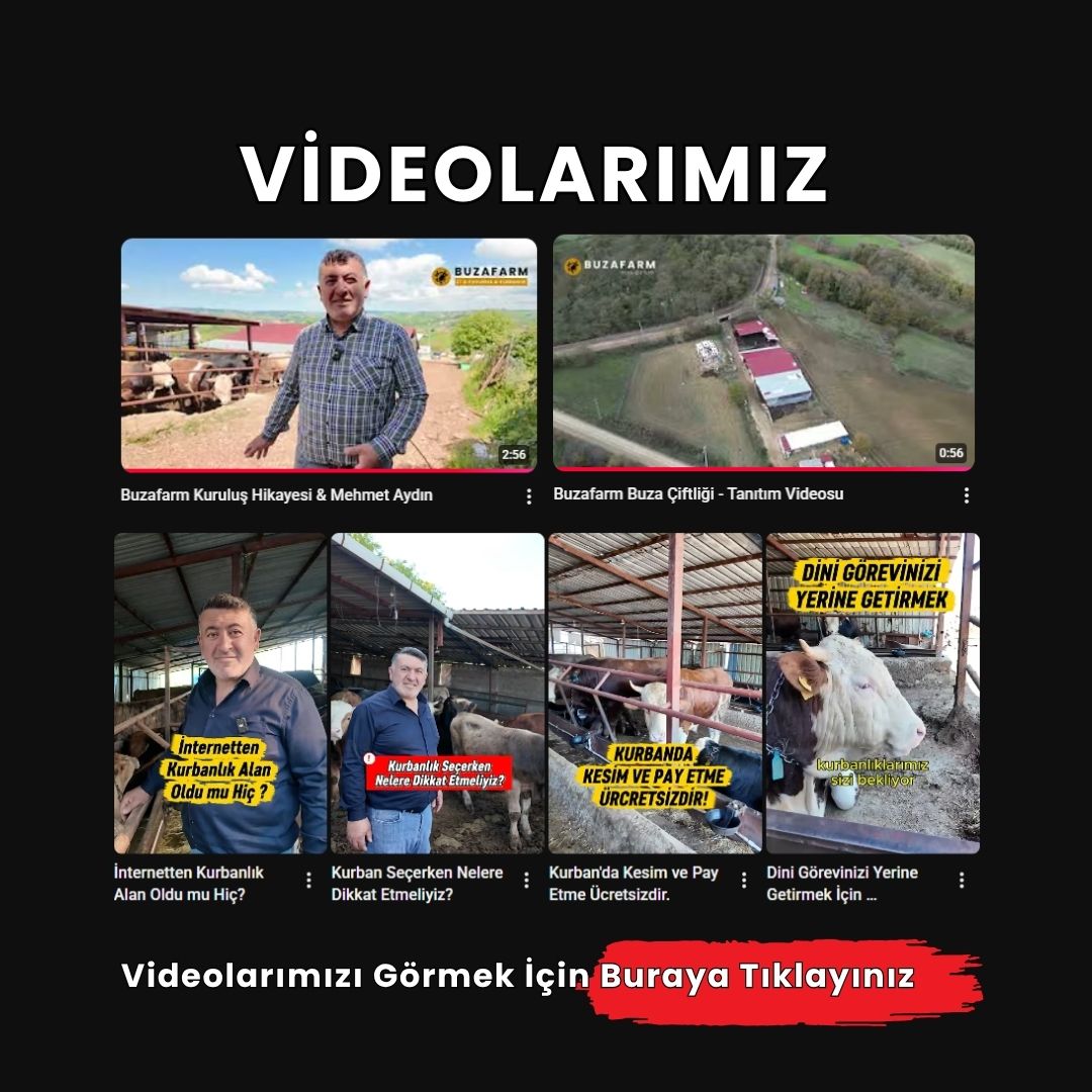 Videolarımız - Buzafarm